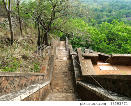 Sigiriya ancient rock in Sri Lanka 58593771