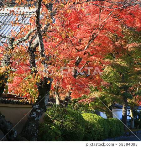 Kyoto Arashiyama Tenryuji Temple 58594095