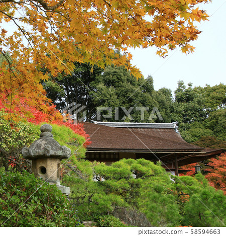 Kyoto Arashiyama Okochi Sanso Koyo 58594663