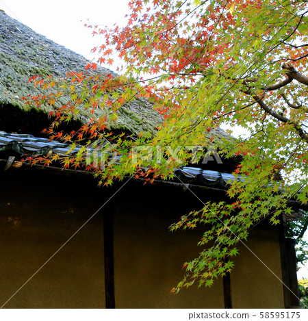 京都Sagano沖繩 京都Sagano沖繩 58595175