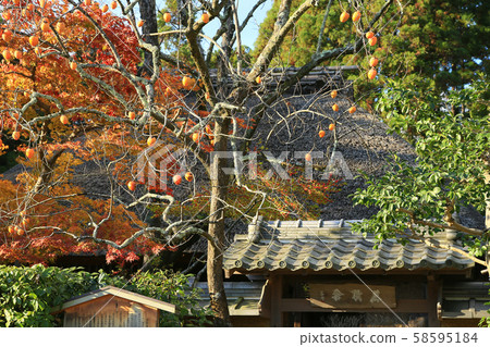 Kyoto Sagano Okinawa Kyoto Sagano Okinawa 58595184