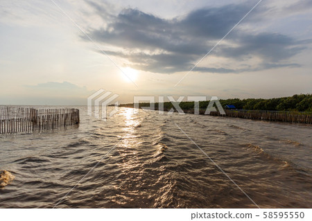 Landscape of sunset with seagull nestled in a row 58595550