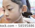Adorable little Asian girl having ear piercing process. 58595886
