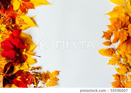 yellow and red leaves autumn white postcard background 58596807