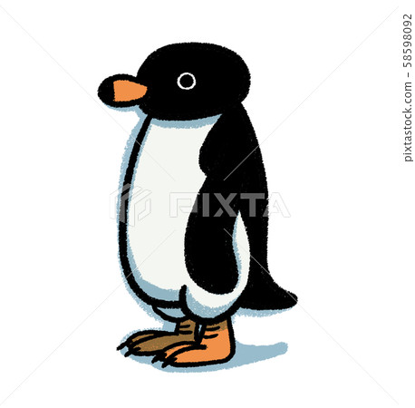 阿德利企鵝 58598092