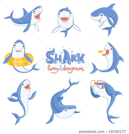 Shark cute animal. Fish attack playing hungry and happy ocean sea shark with big teeth scary blue 58598177