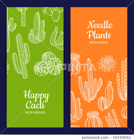 Vector hand drawn cacti plants web banner templates illustration Vector hand drawn cacti plants web banner templates illustration 58599092