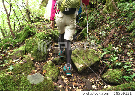 Trekking climbing mountain trail 58599131