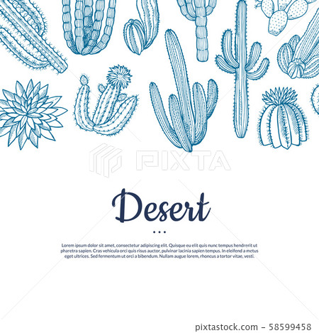 Vector hand drawn wild cacti plants banner 58599458