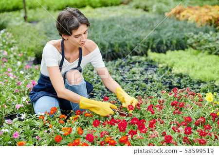 Garden worker prunning flowers Garden worker prunning flowers 58599519