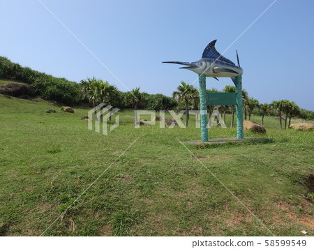 與那國島（西崎） 58599549