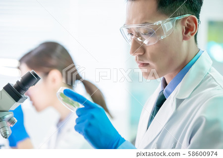 Asian scientist take petri dish 58600974