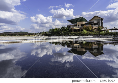 reflection reflection 58601092