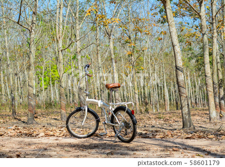 A bike parking at rubber forest 58601179