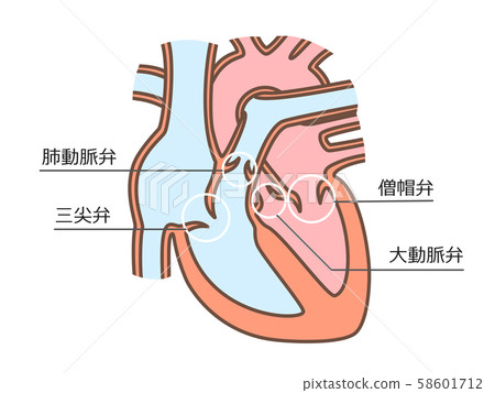 Heart valve with letters 58601712