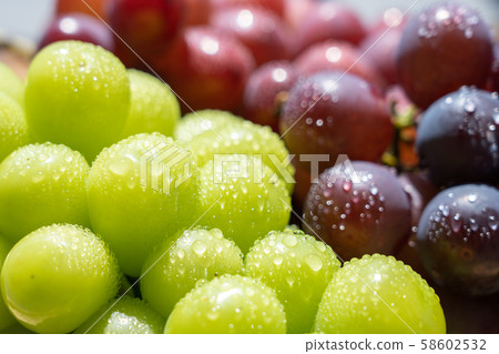 Grape (assorted sizzle) Shine Muscat Pione 58602532