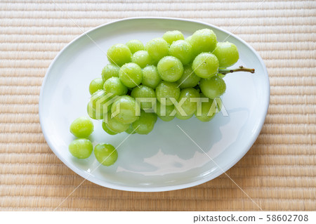 Grape (Sizzle) Shine Muscat 58602708