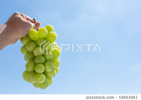 Grape (Shine Muscat) Shizuku Grape (Shine Muscat) Shizuku 58603061