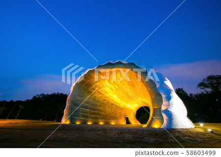 臺灣高雄旗津黃金海韻海珍珠Asian Kaohsiung Qijin Coast Shell 臺灣高雄旗津黃金海韻海珍珠Asian Kaohsiung Qijin Coast Shell 58603499