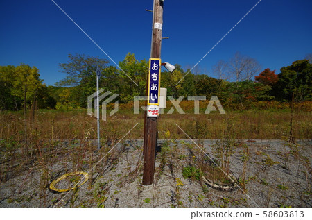 Ochiai Station Signs and Telephone Pole 58603813