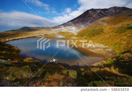 秋天在池塘里 秋天在池塘里 58603859