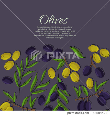 Vector card with olive branches and space for text. 58604422