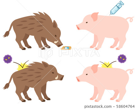 Wild Boar And Pig Vaccination Image Illustration Stock Illustration
