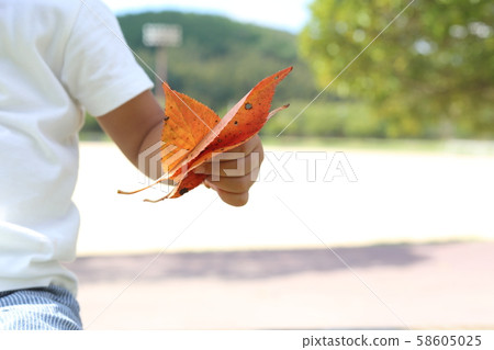 Fall image 58605025
