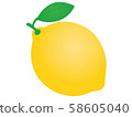 Lemon  58605040