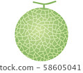 melon 58605041
