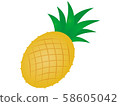 pineapple  58605042