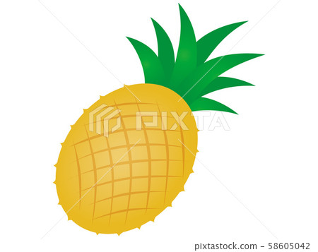 pineapple pineapple 58605042
