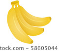 banana 58605044