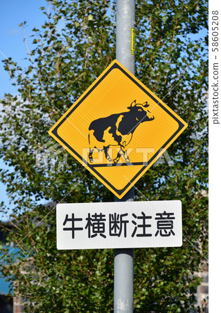 Shooting warning road signs in Hokkaido 58605208