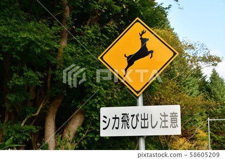 Shooting warning road signs in Hokkaido 58605209