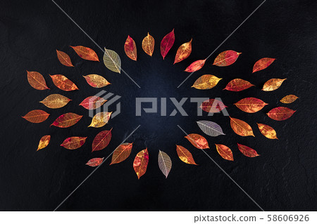 Autumn background with autumn leaves forming a frame on a black texture, a design template for a Autumn background with autumn leaves forming a frame on a black texture, a design template for a 58606926
