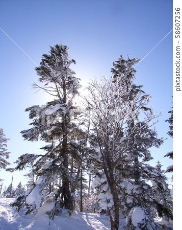 Fog ice and sun Fog ice and sun 58607256