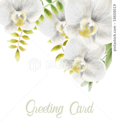 Watercolor White Orchid Flowers Greeting Card Stock Illustration