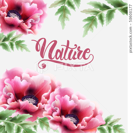 Colorful watercolor peonies flowers 58608177