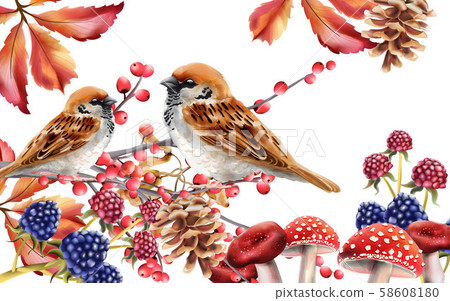 Autumn birds sitting on red berries branch 58608180