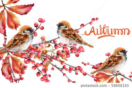 Autumn birds sitting on red berries branch 58608183
