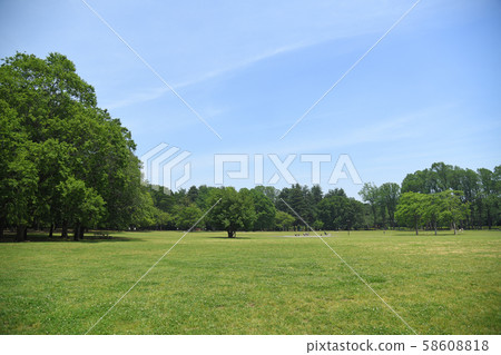 Koganei Park, Koganei Park, Tokyo 58608818
