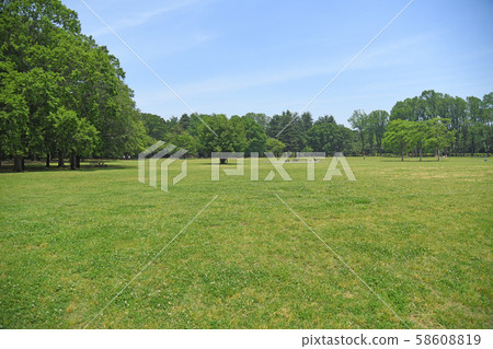 東京小金井公園小金井公園 58608819