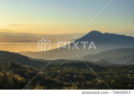 岩手早上 58608855