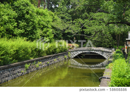Koganei Park, Koganei Park, Tokyo, Edo Tokyo 58608886