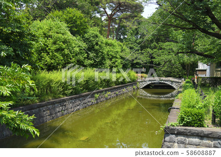 Koganei Park, Koganei City, Tokyo 58608887