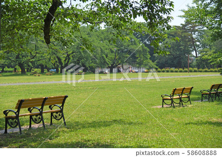 Koganei Park, Koganei City, Tokyo Koganei Park, Koganei City, Tokyo 58608888