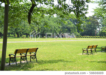 Koganei Park, Koganei City, Tokyo 58608889