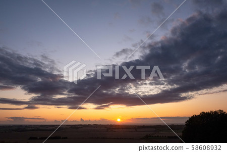 Horses pasturing in a rural landscape under warm sunlight with blue yellow and orange colors grazing Horses pasturing in a rural landscape under warm sunlight with blue yellow and orange colors grazing 58608932