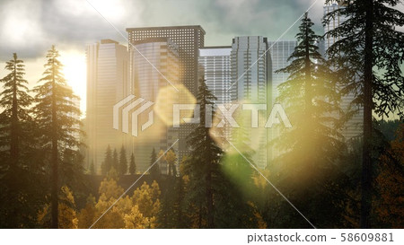 skyscrapers at sunset and park trees 58609881